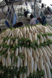 商務(wù)部 18種蔬菜平均批發(fā)價(jià)格環(huán)比下降5.9%，食用農(nóng)產(chǎn)品市場(chǎng)供應(yīng)穩(wěn)定