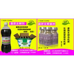 食用農產品批發 連接農戶與消費者的重要橋梁