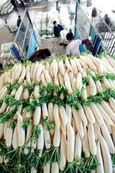 食用農產品批發價格微幅波動 18種蔬菜批發均價周環比回落5.9%